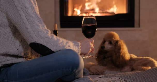 Párrafo Mujer Con Perro Sienta Suelo Bebe Vino Fondo Chimenea — Vídeo de stock