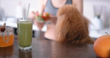 Genç kadın salata üzerinde ev mutfak bir egzersiz yaptıktan sonra yemek. Genç kadın köpeğini mutfak ile.