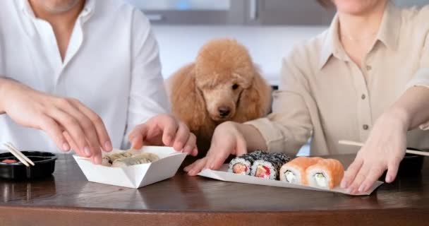 Pareja Con Perro Comiendo Rollos Sushi Casa Entrega Rollos Sushi — Vídeos de Stock