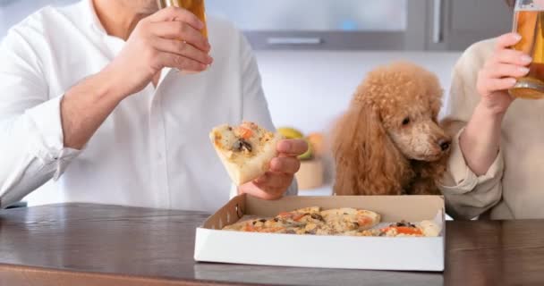 Pareja Con Perro Comiendo Pizza Entrega Pizza — Vídeo de stock