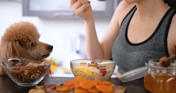 若い女性は運動後健康なオートミールを食べてください — ストック動画