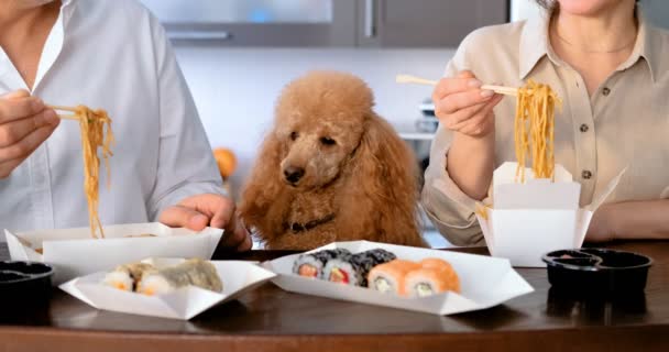 Kino Paar Mit Hund Genießt Japanisches Thai Essen Hause Konzept — Stockvideo