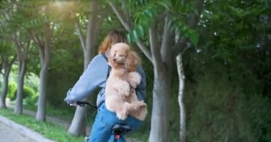 Köpek gerçekten bir hayvan sırt çantası taşıyan seyahat gibi .