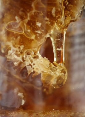 Sıvı açık bal petek üzerinde. yakın çekim