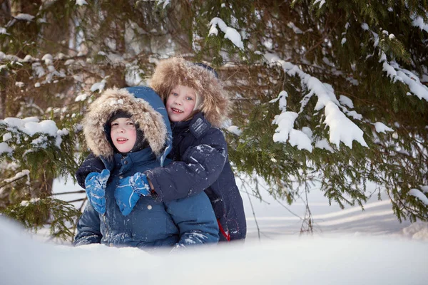 两个男孩坐在冷杉树枝下的雪堆里 看着镜头微笑着 — 图库照片