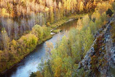 sonbahar manzara: ağaçlar, nehir, bir yükseklikten görünüm