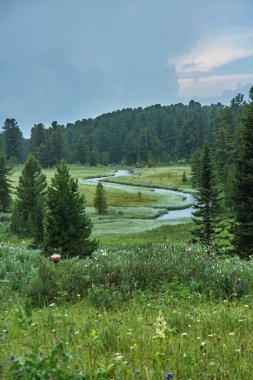Düz manzara: nehir, çimen, ağaçlar ve bulutlu gökyüzü.