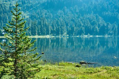 Karşı kıyıda dağ gölü ve iğne yapraklı orman