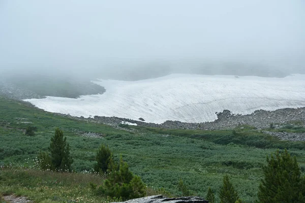 Champ de neige est au sommet de la montagne. Brouillard sur la montagne — Photo