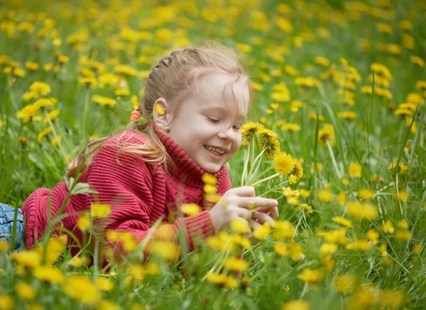 Liten flicka och äng med maskrosor. Sommardag, Utomhus — Stockfoto