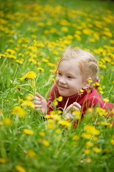 タンポポを持つ小さな女の子と草原。夏の日,屋外 — ストック写真