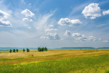 Yaz sahne: Yeşil çim ve alanlı, güzel manzara mavi gökyüzü güneşli gün