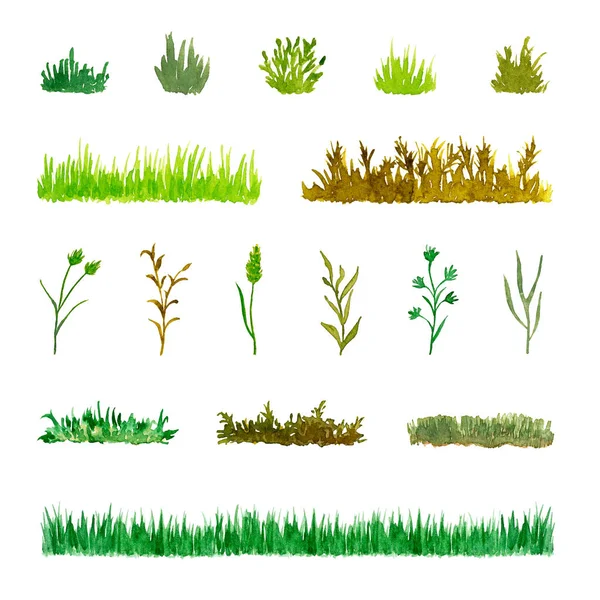 Conjunto Varios Elementos Vegetales Hierba Arbustos Tallos Acuarela Dibujada Mano — Foto de Stock