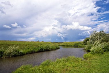 Yaz kırsal manzara: Küçük nehir ot ve çalılar ile büyümüş bankalarla