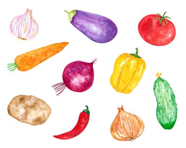 Beyaz arka plan üzerinde ham taze sebze, çizilmiş ve boyalı, suluboya el kümesi izole