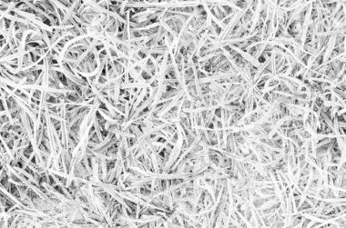 frost ile kaplı ince çim kapatın