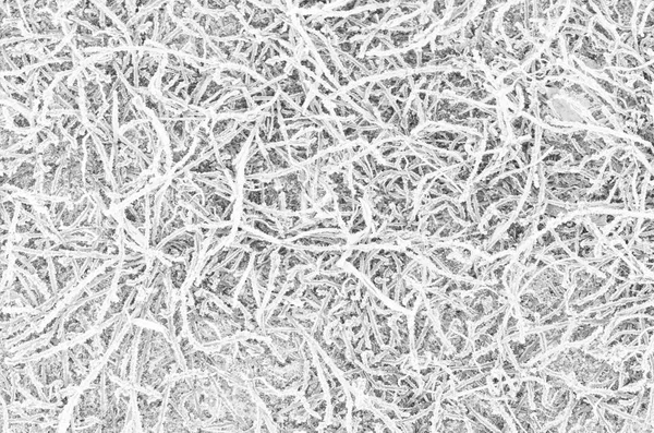 frost ile kaplı ince çim kapatın