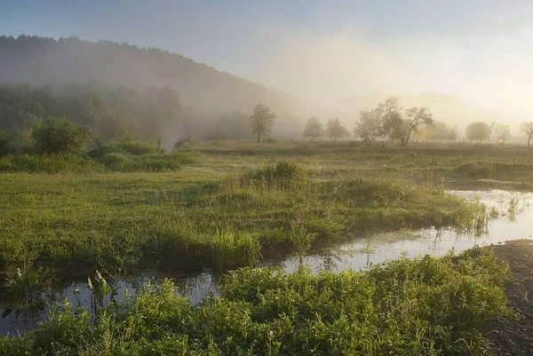 Urallar eteklerinde nehre sisli sabahı