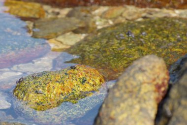 Tayland kıyı taşlarla yatay yukarı kapatın