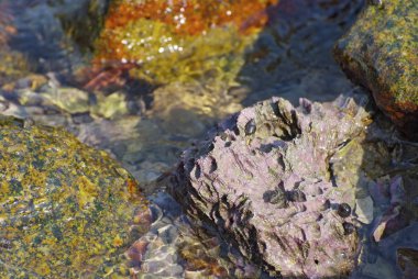 Tayland kıyı taşlarla yatay yukarı kapatın