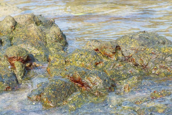 Close up paisagem com pedras costeiras na Tailândia — Fotografia de Stock