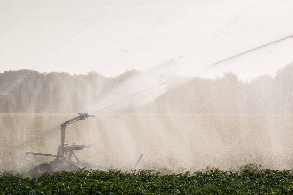 Irrigation and watering of farmland with sprinkler equipment