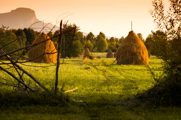 Haystacks Při Západu Slunce Maramures Izolované Oblasti Bucovina Rumunsko Stock Snímky