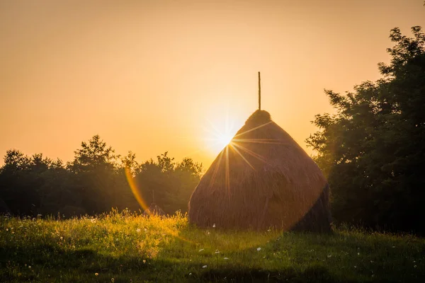 Haystacks Vid Solnedgången Maramures Den Isolerade Regionen Bucovina Rumänien Royaltyfria Stockbilder