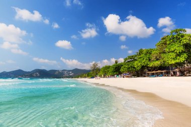 Koh Samui, Tayland için güzel beyaz kumlu plaj. Tatil tatil arka plan duvar kağıdı. Görünümü güzel tropikal Beach yeşil avuç içi ile.