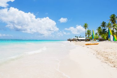 Punta Cana, Dominik Cumhuriyeti 'ndeki beyaz kumlu plajda hindistan cevizi palmiyeleri. Tatil tatili arka plan duvar kağıdı. Güzel tropikal plaj manzarası.