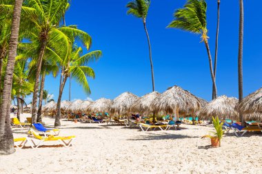 Güzel beyaz kumlu plaj bir lüks Resort Punta Cana, Dominik Cumhuriyeti için. Tatil tatil arka plan duvar kağıdı. Görünümü güzel tropikal Beach.
