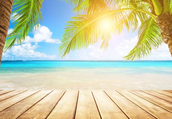 Kokosové Palmy Proti Modré Obloze Krásná Pláž Punta Cana Dominikánská — Stock fotografie