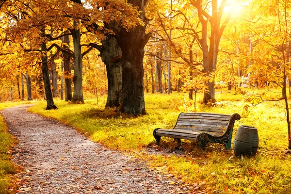 Old Wooden Bench Autumn Park Colorful Autumn Trees Golden Leaves — Stock Photo, Image