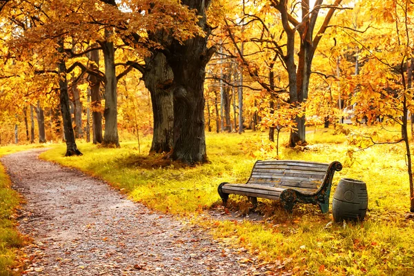 黄金の葉とカラフルな秋の木々 の下で秋の公園で古い木製のベンチ — ストック写真