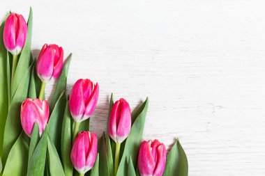 ahşap zemin üzerinde güzel pembe laleler