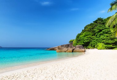 Seyahat yaz tatil arka plan kavramı