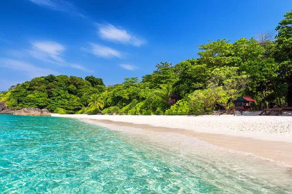 Kokospalmen gegen blauen Himmel und schönen Strand — Stockfoto