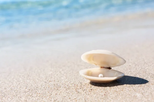 Sea shell with pink pearl on the sandy beach — Stock Photo, Image