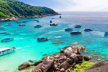 güzel tropik sahil görünümü.