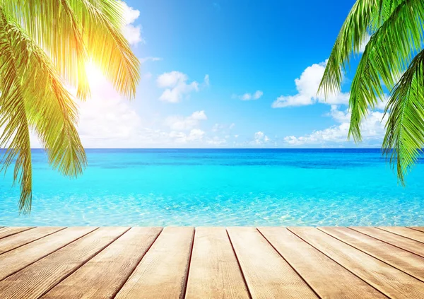 Kokosnøttpalmer og blå himmel og hav – stockfoto