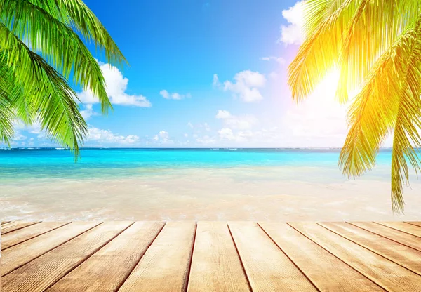 Kokosnøttpalmer og blå himmel og hav – stockfoto