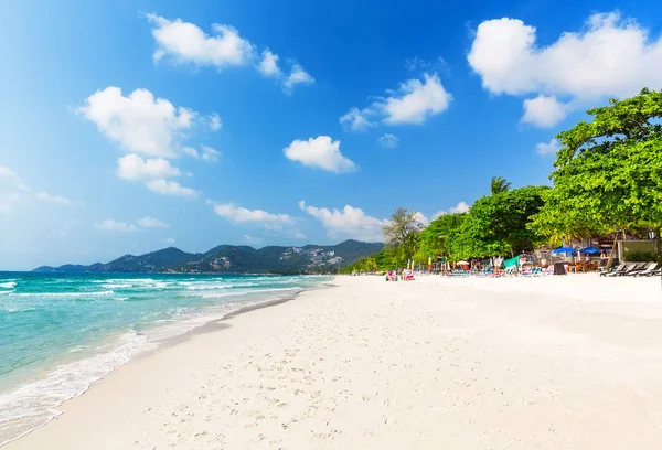 Вид на красивий тропічний пляж з зеленими долонями навколо . — стокове фото
