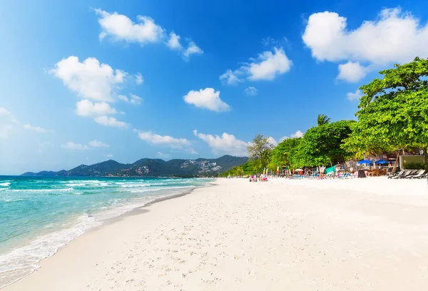 Uitzicht op mooi tropisch strand met groene palmen rond. — Stockfoto