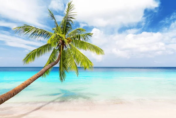 Blick auf schönen tropischen Strand. — Stockfoto