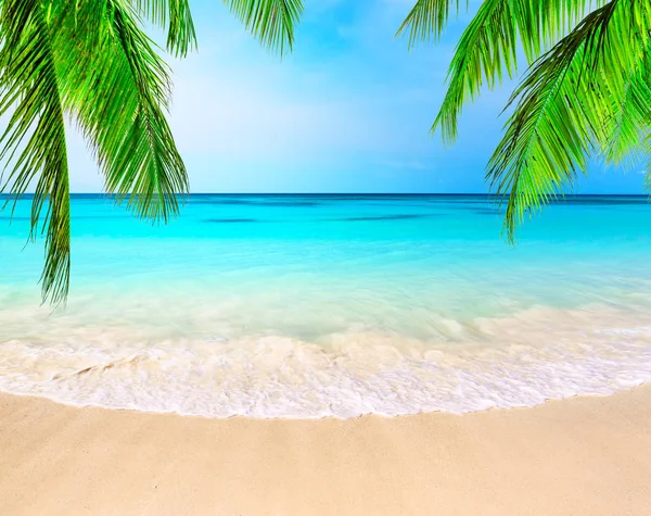 Bølge av havet på sandstranden – stockfoto