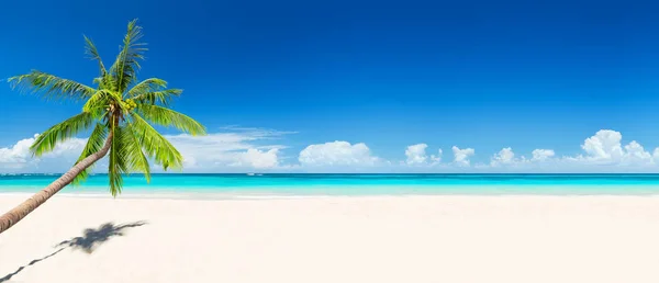 Reizen zomer concept achtergrond vakantie. — Stockfoto
