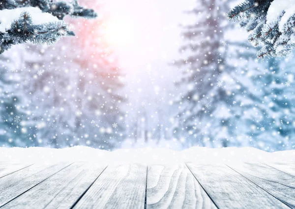 눈과 크리스마스 나무와 겨울 풍경. — 스톡 사진