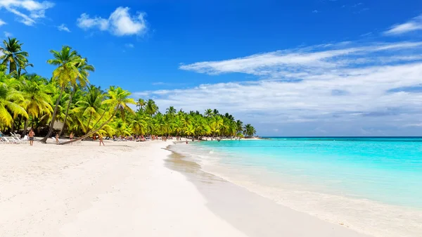 Kokosnoot Palmbomen Tegen Blauwe Lucht Mooi Strand Punta Cana Dominicaanse — Stockfoto