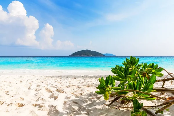 Schöner Strand Und Blauer Himmel Auf Similan Inseln Thailand Urlaub — Stockfoto