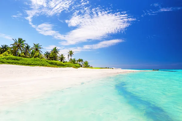 Coqueiros Praia Areia Branca Punta Cana República Dominicana — Fotografia de Stock